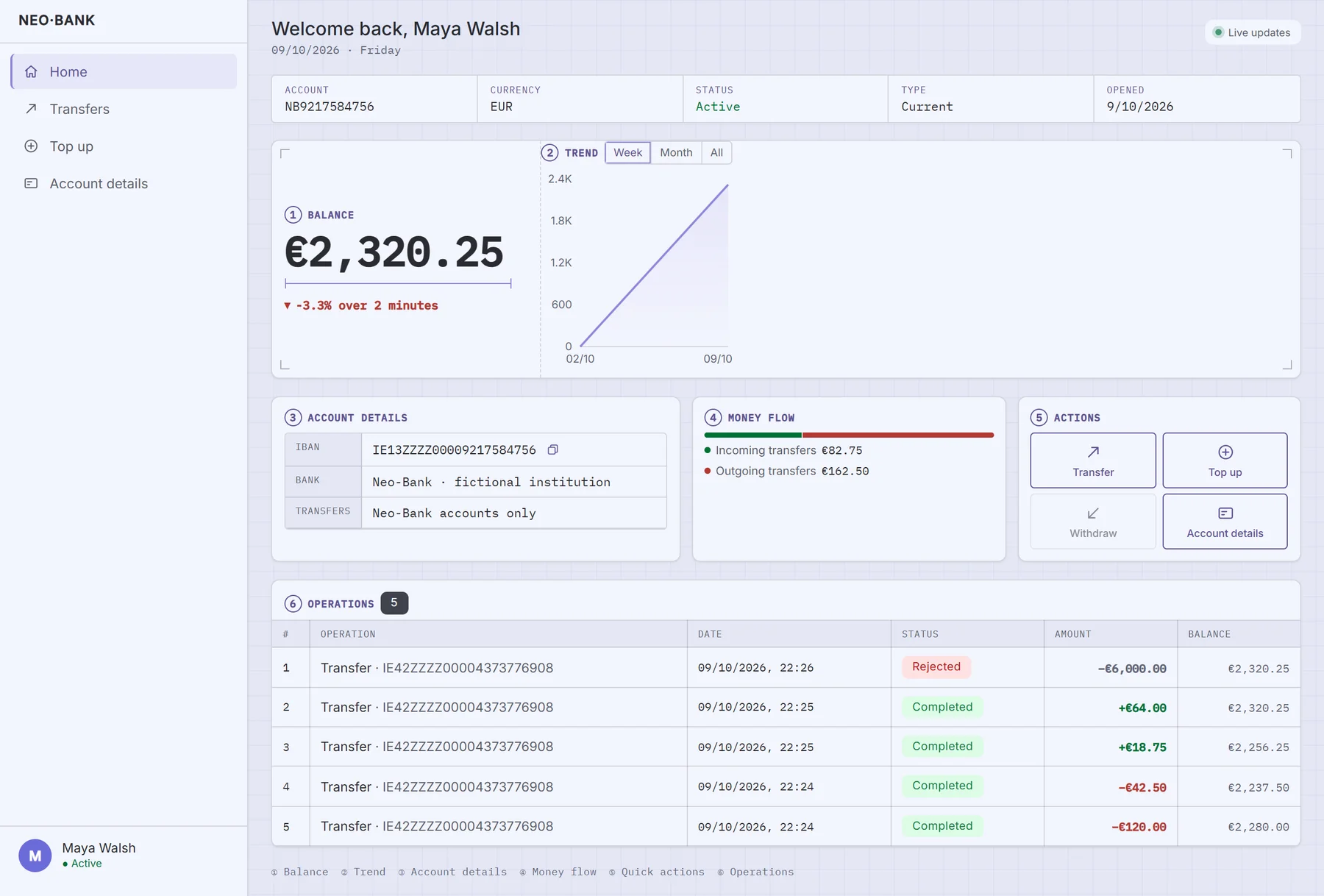 Neo-Bank dashboard with a fictional account, balance history, and completed or rejected transfers.